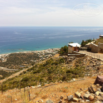 фото из отзыва ID 1356176