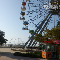 фото из отзыва ID 1356180