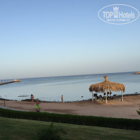 фото из отзыва ID 1356289