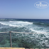 фото из отзыва ID 1356289