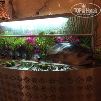 фото из отзыва ID 1356289