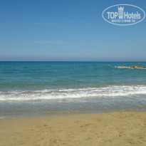 фото из отзыва ID 1356543