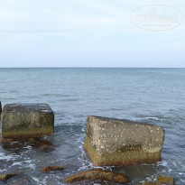 фото из отзыва ID 1356553