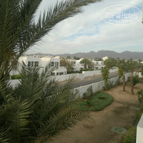 фото из отзыва ID 1356559