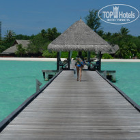 фото из отзыва ID 1356621