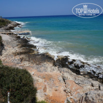 фото из отзыва ID 1356613