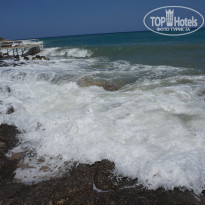 фото из отзыва ID 1356613