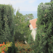 фото из отзыва ID 1356648