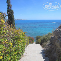 фото из отзыва ID 1356648