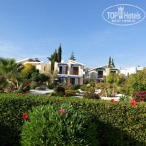 фото из отзыва ID 1356648