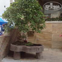 фото из отзыва ID 1356688