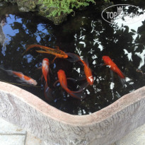 фото из отзыва ID 1356688