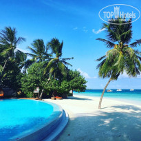 фото из отзыва ID 1356812