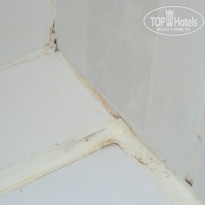 фото из отзыва ID 1356841