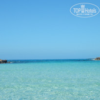 фото из отзыва ID 1356893