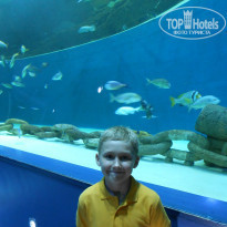 фото из отзыва ID 1356927