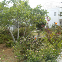 фото из отзыва ID 1356613