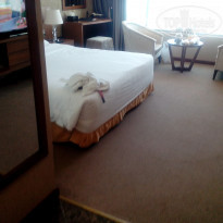 фото из отзыва ID 1357181