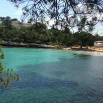 фото из отзыва ID 1357152