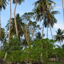 фото из отзыва ID 1357188