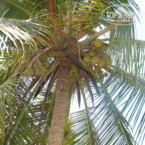 фото из отзыва ID 1357191