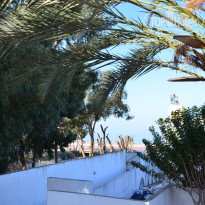 фото из отзыва ID 1357203