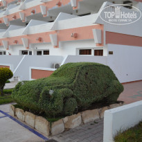 фото из отзыва ID 1357203