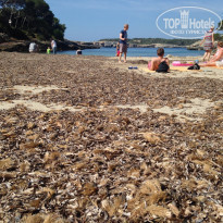 фото из отзыва ID 1357152