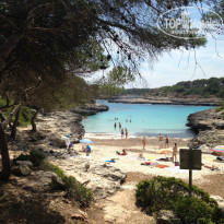 фото из отзыва ID 1357152