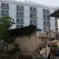 фото из отзыва ID 1357363