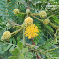 фото из отзыва ID 1357390