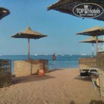 фото из отзыва ID 1357404