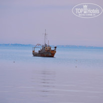 фото из отзыва ID 1357464