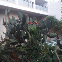 фото из отзыва ID 1357575