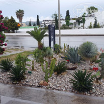 фото из отзыва ID 1357517