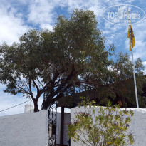 фото из отзыва ID 1357517