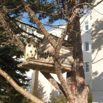 фото из отзыва ID 1357813