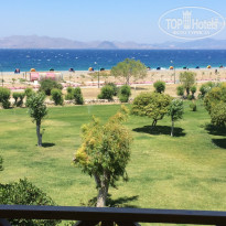 фото из отзыва ID 1357900