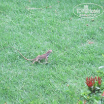 фото из отзыва ID 1357931