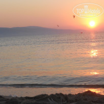 фото из отзыва ID 1357817