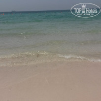 фото из отзыва ID 1358055