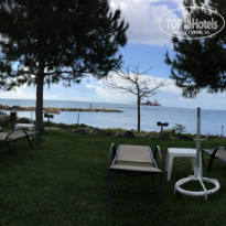 фото из отзыва ID 1358057