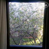 фото из отзыва ID 1357213