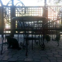 фото из отзыва ID 1357213