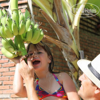 фото из отзыва ID 1358281