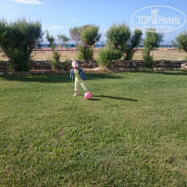 фото из отзыва ID 1355455