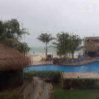 фото из отзыва ID 1358332