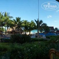 фото из отзыва ID 1358332