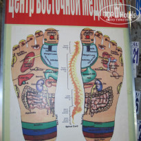 фото из отзыва ID 1358360