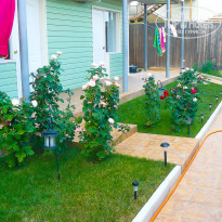 фото из отзыва ID 1358546